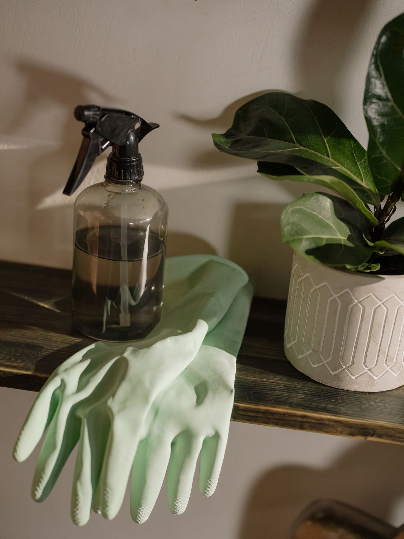 Spray bottle and mint cleaning gloves on a shelf beside a plant